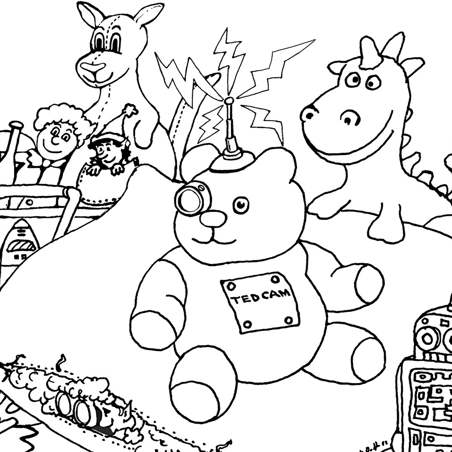 TED Cam